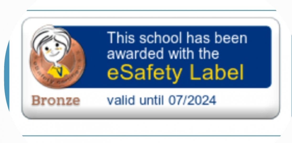 E-Safety Label Belgesi 2022